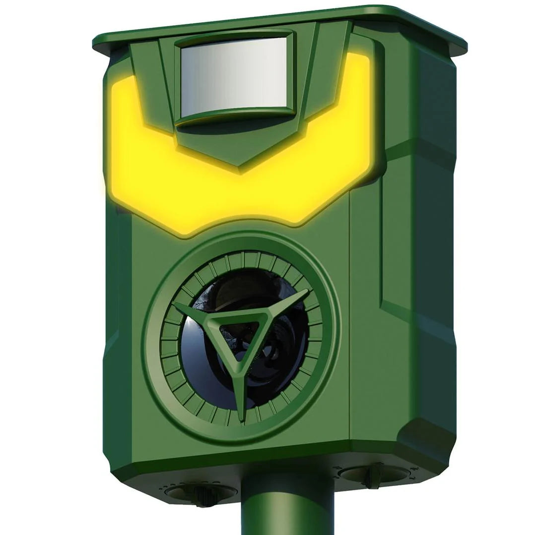Duplicate Page